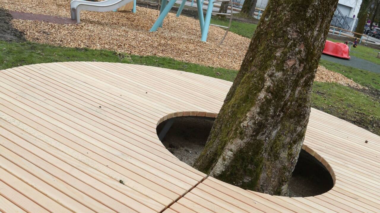 Die Holzbank wurde um eine Eiche herumgebaut.  