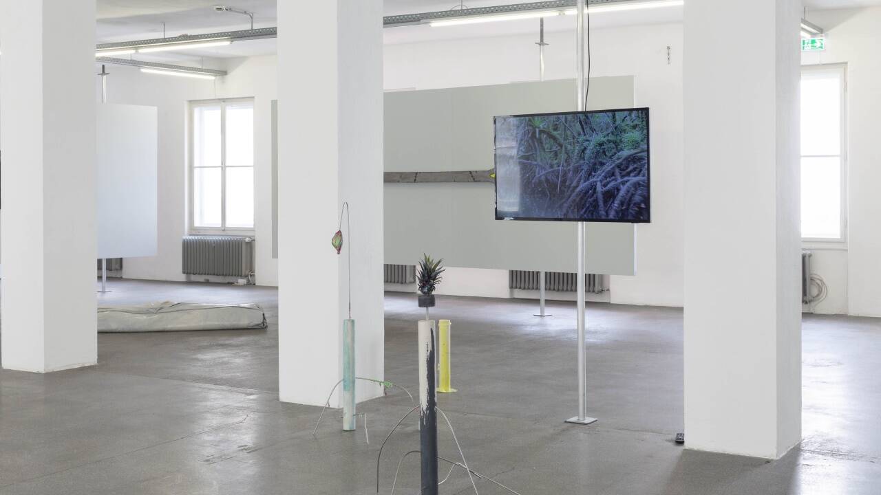 Blick in die Ausstellung in der Galerie 5020. 