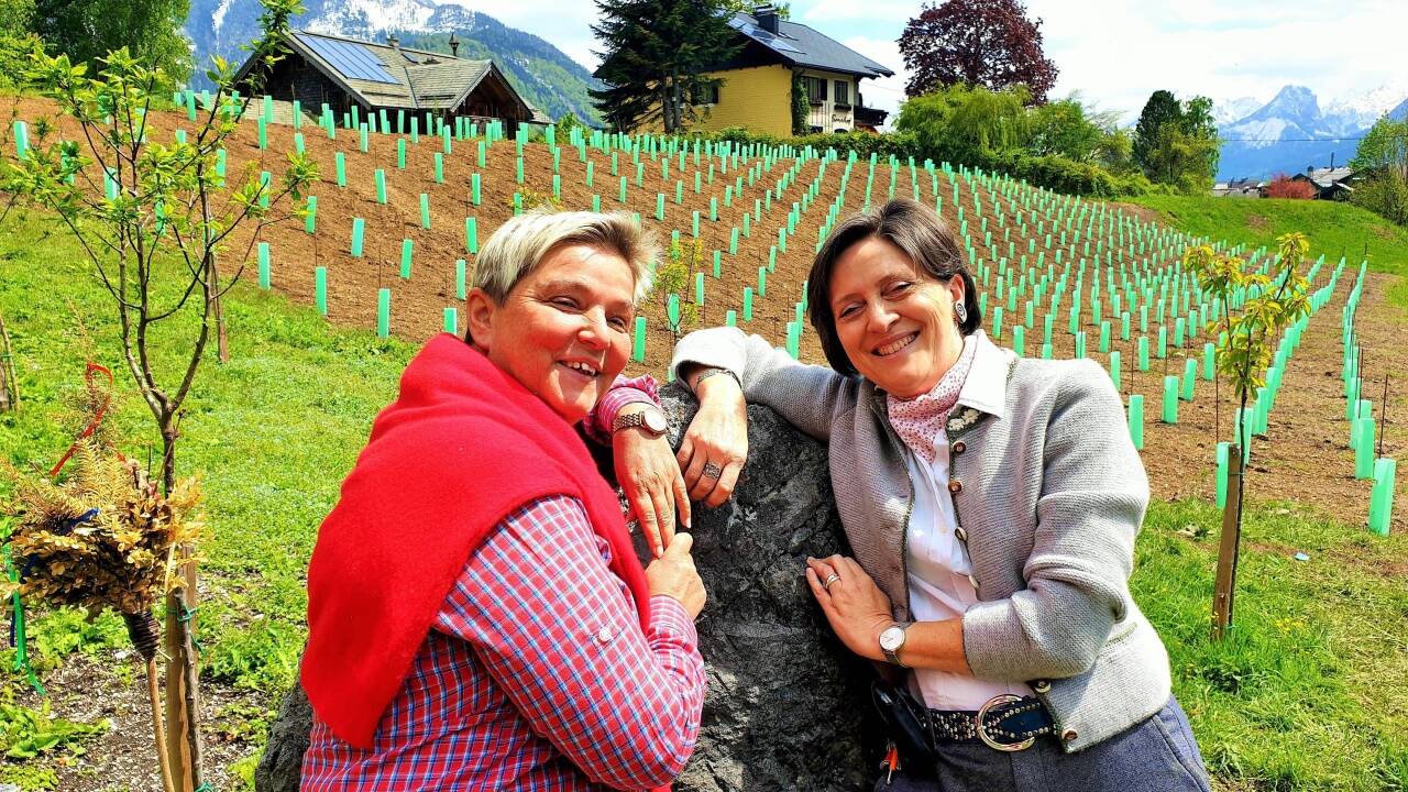 Freuen sich auf die erste Weinlese am Wolfgangsee: Manuela Baierl und Gerda Hollweger. 