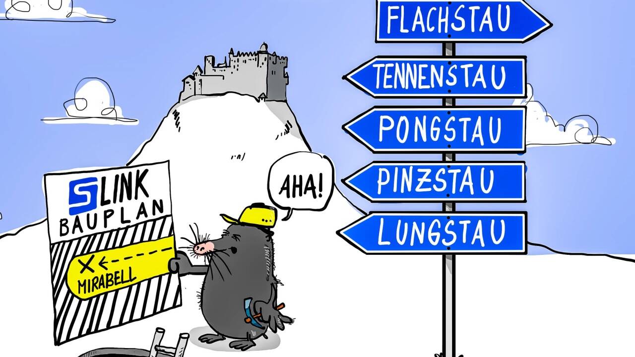 Karikatur Thomas Selinger. Karikatur Thomas Selinger.