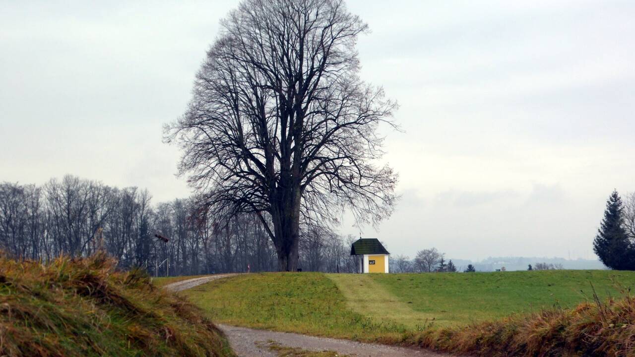 Der Weg führt an der Hiasnbauer Kapelle vorbei. Der Weg führt an der Hiasnbauer Kapelle vorbei.