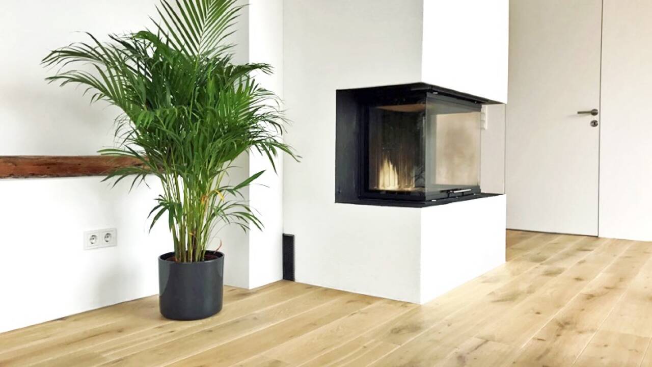 Wooddreams: Parkettböden und Holzträume 