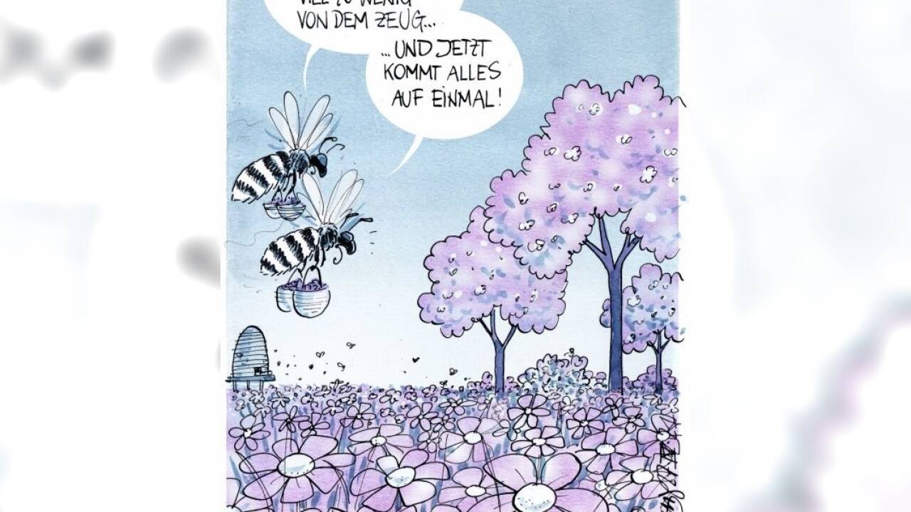 Probleme bei der Immstoffbeschaffung . . . 