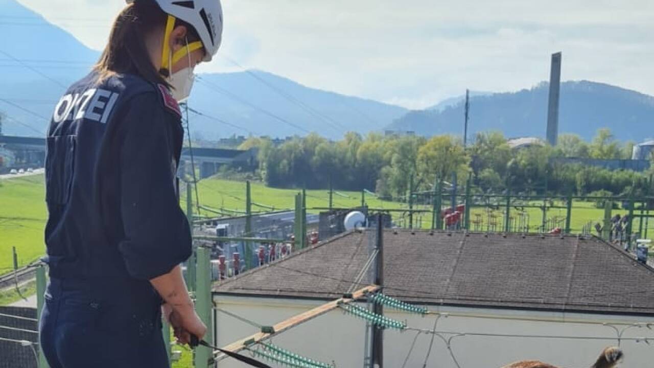 Ein Technikgebäude der Salzburg AG in Hagenau unweit der Stadt Salzburg ging am Freitag in Flammen auf. 
