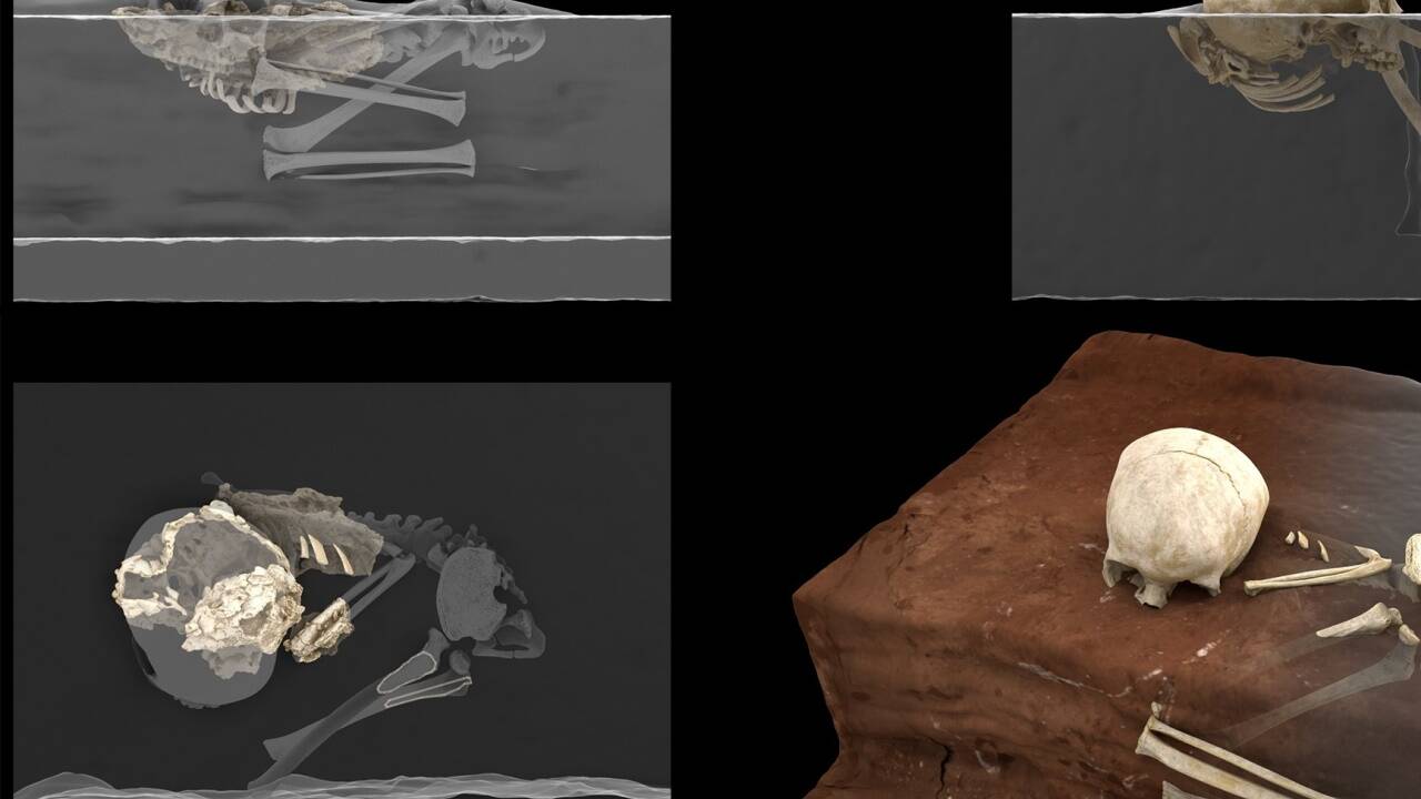 Virtuelle Rekonstruktion der Homininreste von Panga ya Saidi am Fundort (links) und ideale Rekonstruktion der ursprünglichen Position des Kindes zum Zeitpunkt des Fundes (rechts)  Virtuelle Rekonstruktion der Homininreste von Panga ya Saidi am Fundort (links) und ideale Rekonstruktion der ursprünglichen Position des Kindes zum Zeitpunkt des Fundes (rechts)
