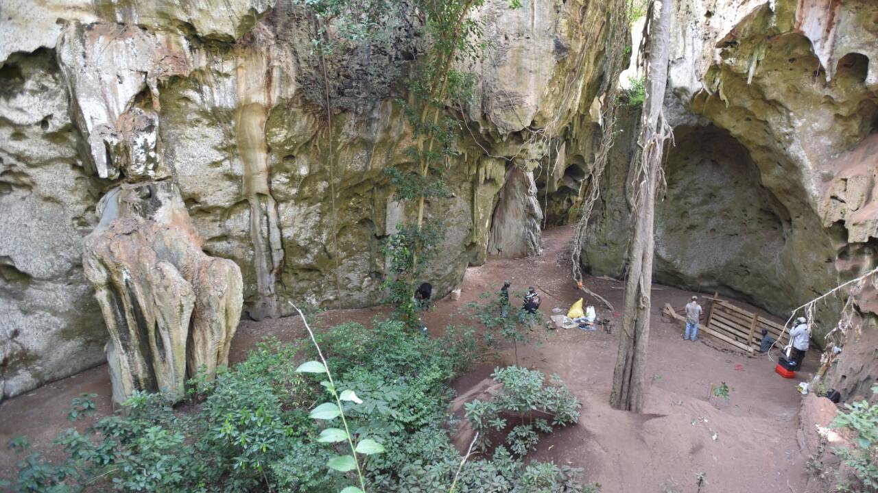 Die Pangy ya Saidi-Höhle an der Küste Kenias. In der durch Bohlen abgesicherten Grube im Vordergrund wurde die 78 000 Jahre alte Bestattung eines Kindes entdeckt.  Die Pangy ya Saidi-Höhle an der Küste Kenias. In der durch Bohlen abgesicherten Grube im Vordergrund wurde die 78 000 Jahre alte Bestattung eines Kindes entdeckt.