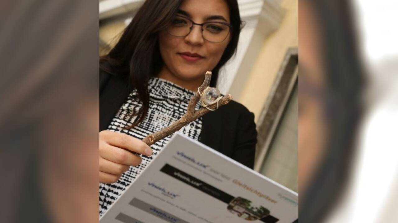 Interessierte können auch einen Blick auf bzw. durch das mittelalterliche Vorläufermodell der Brille, den Lesestein, werfen.  Interessierte können auch einen Blick auf bzw. durch das mittelalterliche Vorläufermodell der Brille, den Lesestein, werfen.