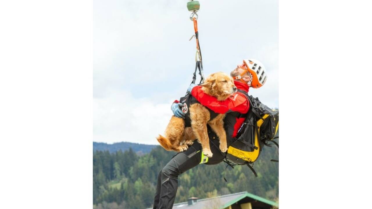 Tom Bommer (St. Johann im Pongau) mit seiner Hündin Emma.  
