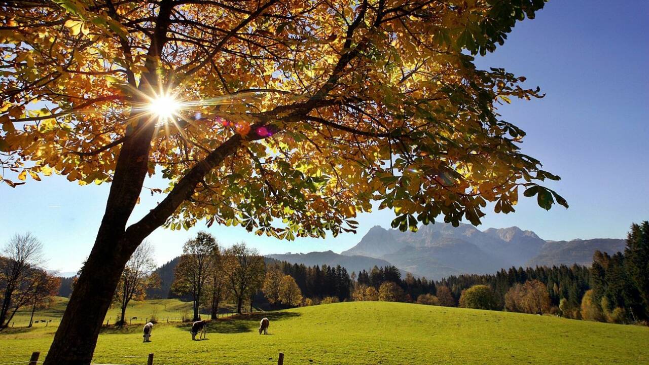 Herbstbeginn Heute sind Tag und Nacht gleich lang SN.at Herbstbeginn Heute sind Tag und Nacht gleich lang SN.at
