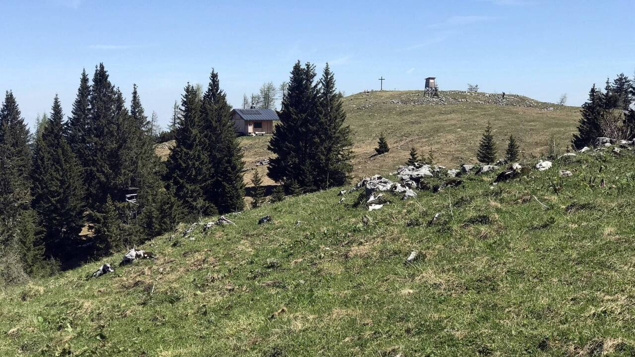 Ein Blick auf das Gelände der Vierkaseralm. 