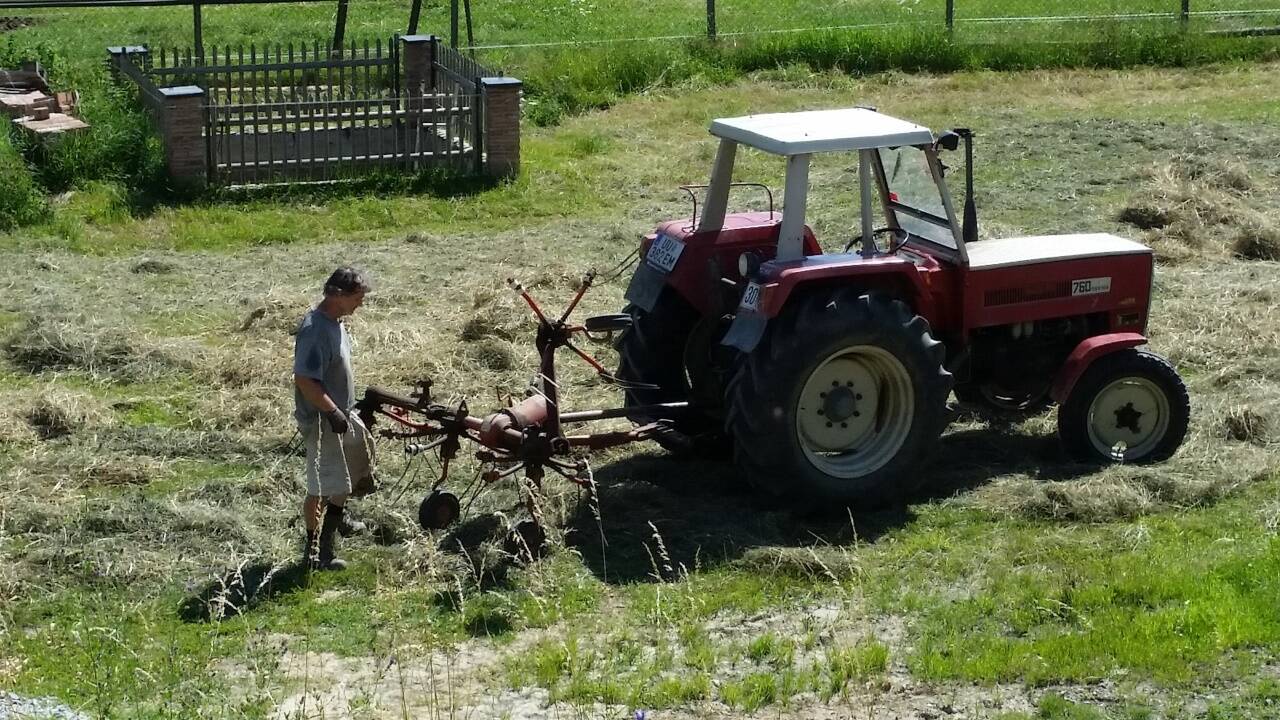 ... und bei der Heuarbeit. Das Kloster Pupping betreibt auch eine kleine Landwirtschaft.  