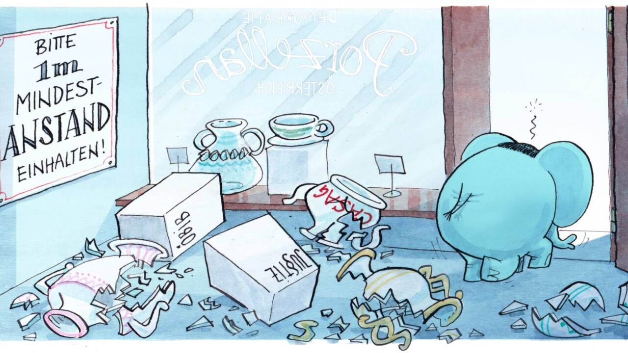 Der Babyelefant im Porzellanladen . . . 