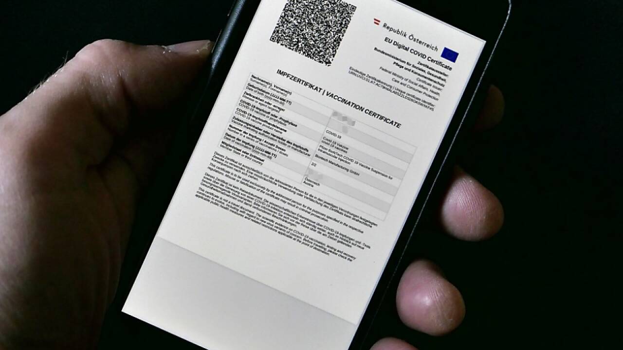 Der 'Grüne Pass' in Österreich: Ein PDF-Dokument zum Download 