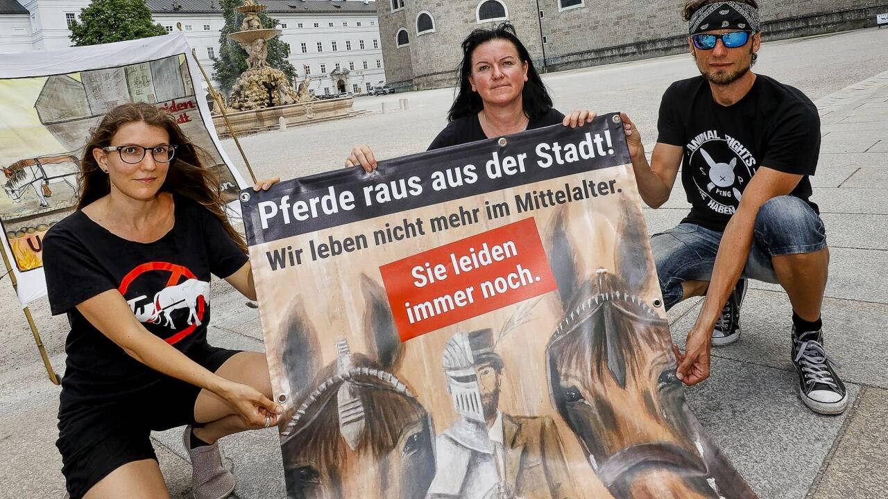 Aktivisten des Vereins gegen Tierfabriken protestierten für ein Verbot der Fiaker.  Aktivisten des Vereins gegen Tierfabriken protestierten für ein Verbot der Fiaker.