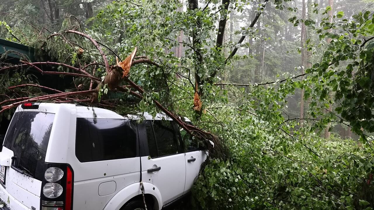 In Hallwang wurden ein Hausdach und ein Auto von einem umstürzenden Baum getroffen. 