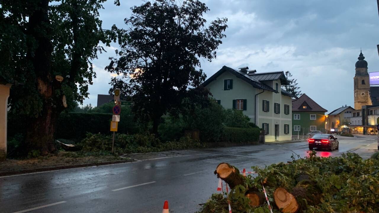 Umgestürzte Bäume in Seekirchen. 