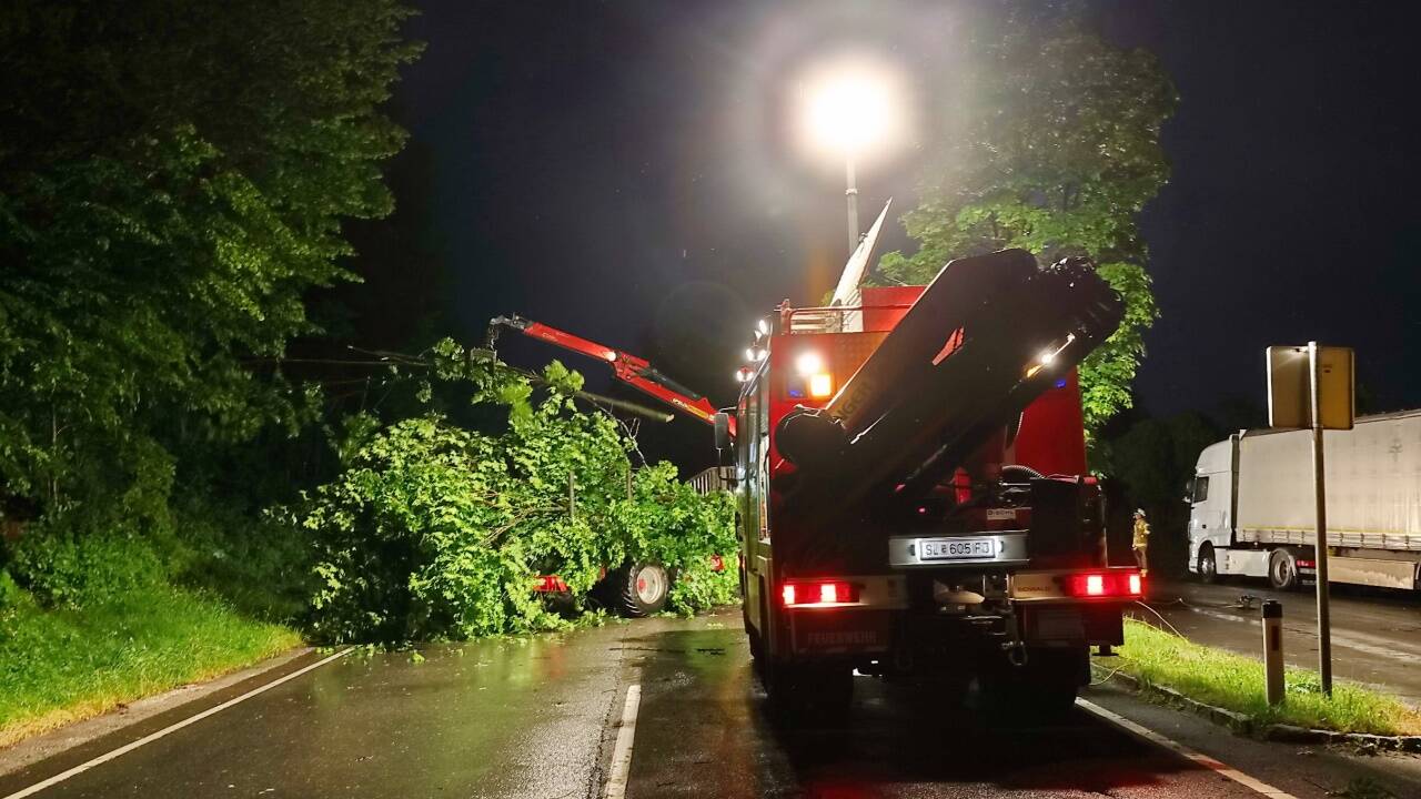 Ein Baum lag über der Fahrbahn der B156 in Bergheim. 