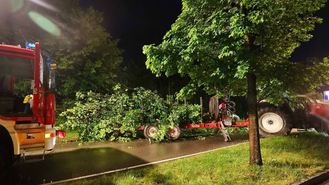 Ein Baum lag über der Fahrbahn der B156 in Bergheim. 