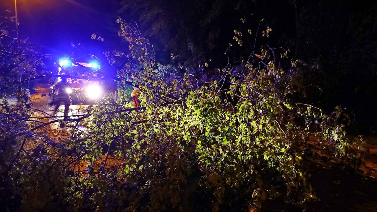 Einsatz in der Firmianstraße. 