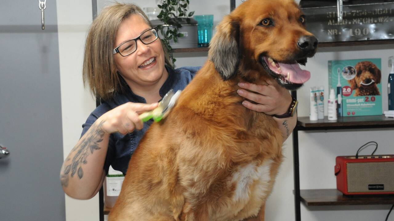 Seit Anfang Mai führt die ausgebildete Grooming-Expertin Lydia Schuto mit Liebe und Leidenschaft ihren Kleintier-Pflegesalon „Fein raus“ im St. Michaeler Ortsteil Glashütte.  