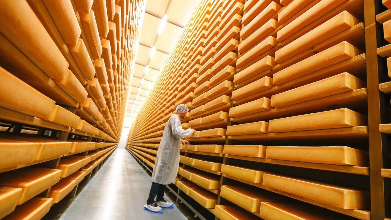 Ein Teil der Milch wird in Käse verarbeitet, das geht auch weiterhin. Ein Teil der Milch wird in Käse verarbeitet, das geht auch weiterhin.