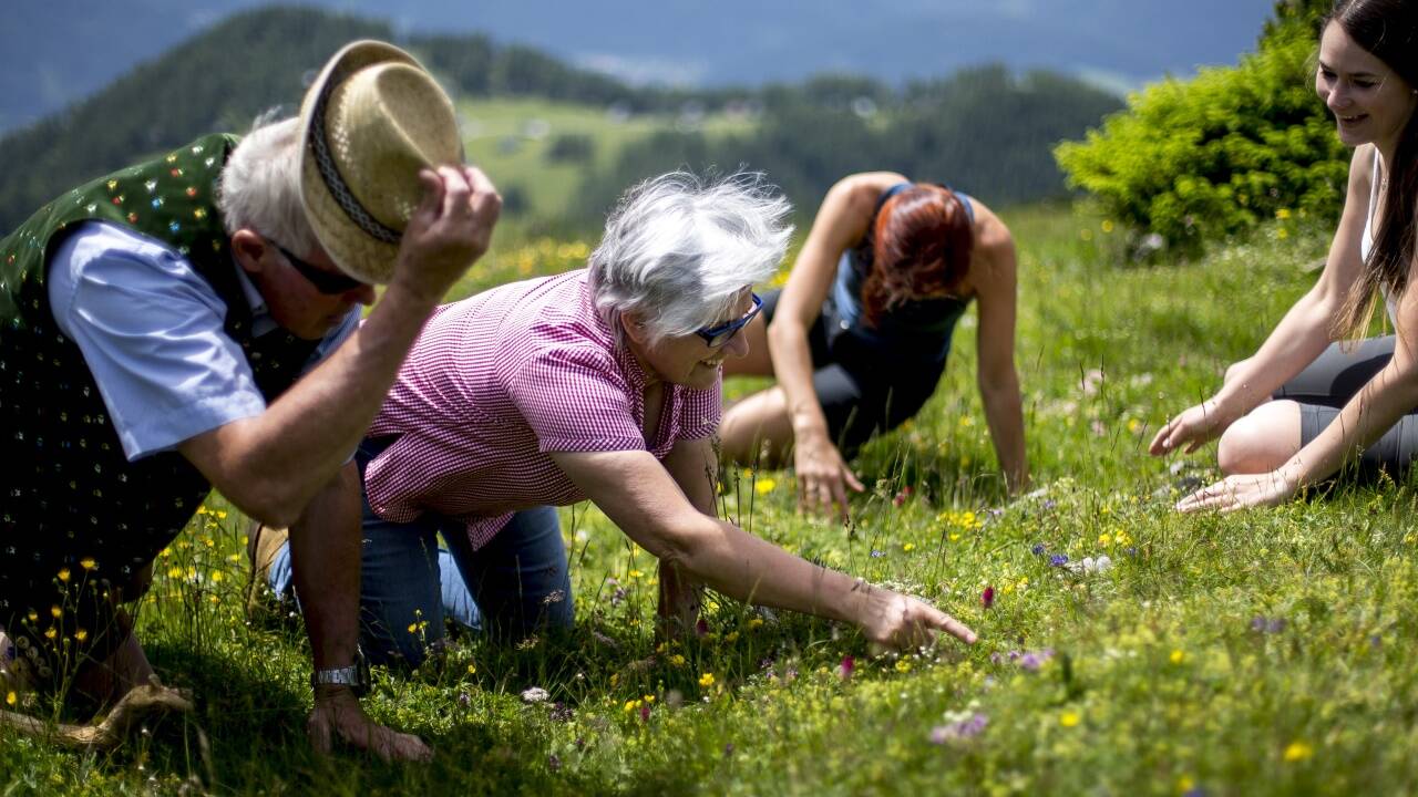 Heilkräuterpädagogin Regina Müllner weist auf ein sommerliches Fundstück auf der Aflenzer Bürgeralpe.   Heilkräuterpädagogin Regina Müllner weist auf ein sommerliches Fundstück auf der Aflenzer Bürgeralpe.