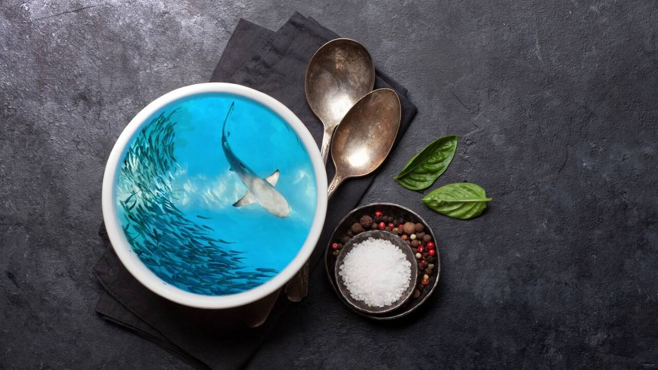 In den acht Jahren von 2012 bis 2019 wurden demnach etwa 200 Tonnen an Haiprodukten nach Österreich importiert. In den acht Jahren von 2012 bis 2019 wurden demnach etwa 200 Tonnen an Haiprodukten nach Österreich importiert.