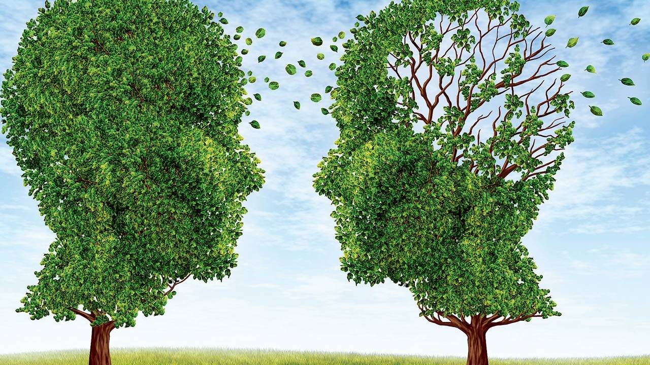 Demenzielle Erkrankungen können sehr beängstigend sein: Gehirnfunktionen wie der Orientierungssinn und das Gedächtnis leiden darunter. Vorbeugen lässt sich ein Stück weit mit einem gesunden Lebensstil. 