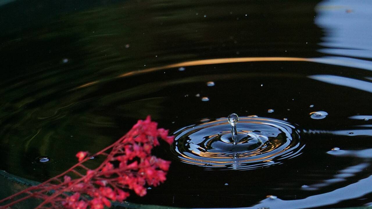 Regenwasser sinnvoll einsetzen. 