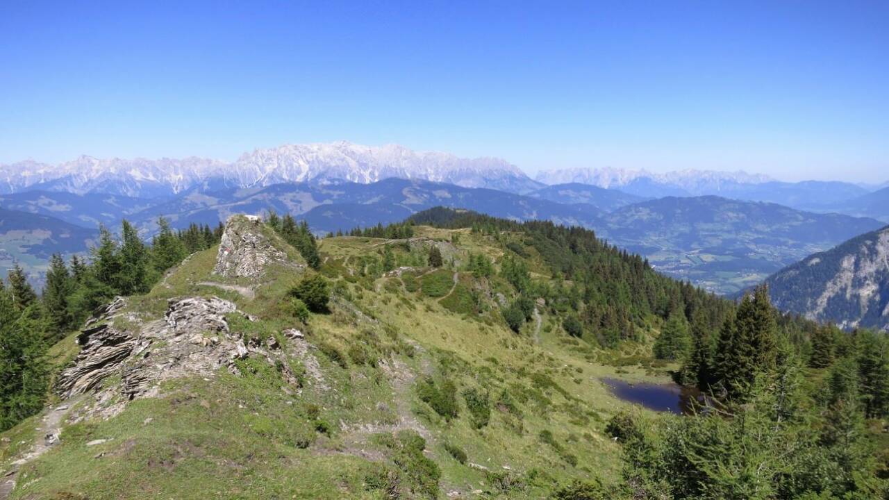 Über das Hahnbalzköpfel Über das Hahnbalzköpfel