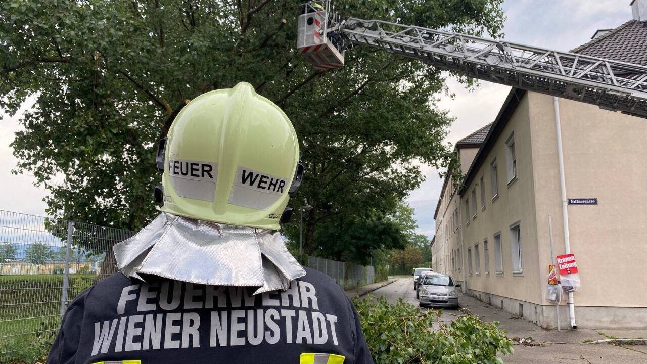 Einsatz in Wiener Neustadt.  