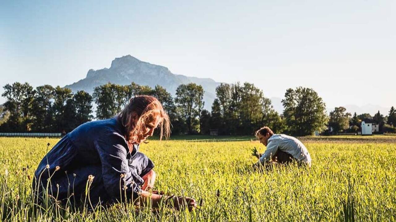 Valerie Orsini-Rosenberg und Olaf Dellingshausen bei der Arbeit.  Valerie Orsini-Rosenberg und Olaf Dellingshausen bei der Arbeit.