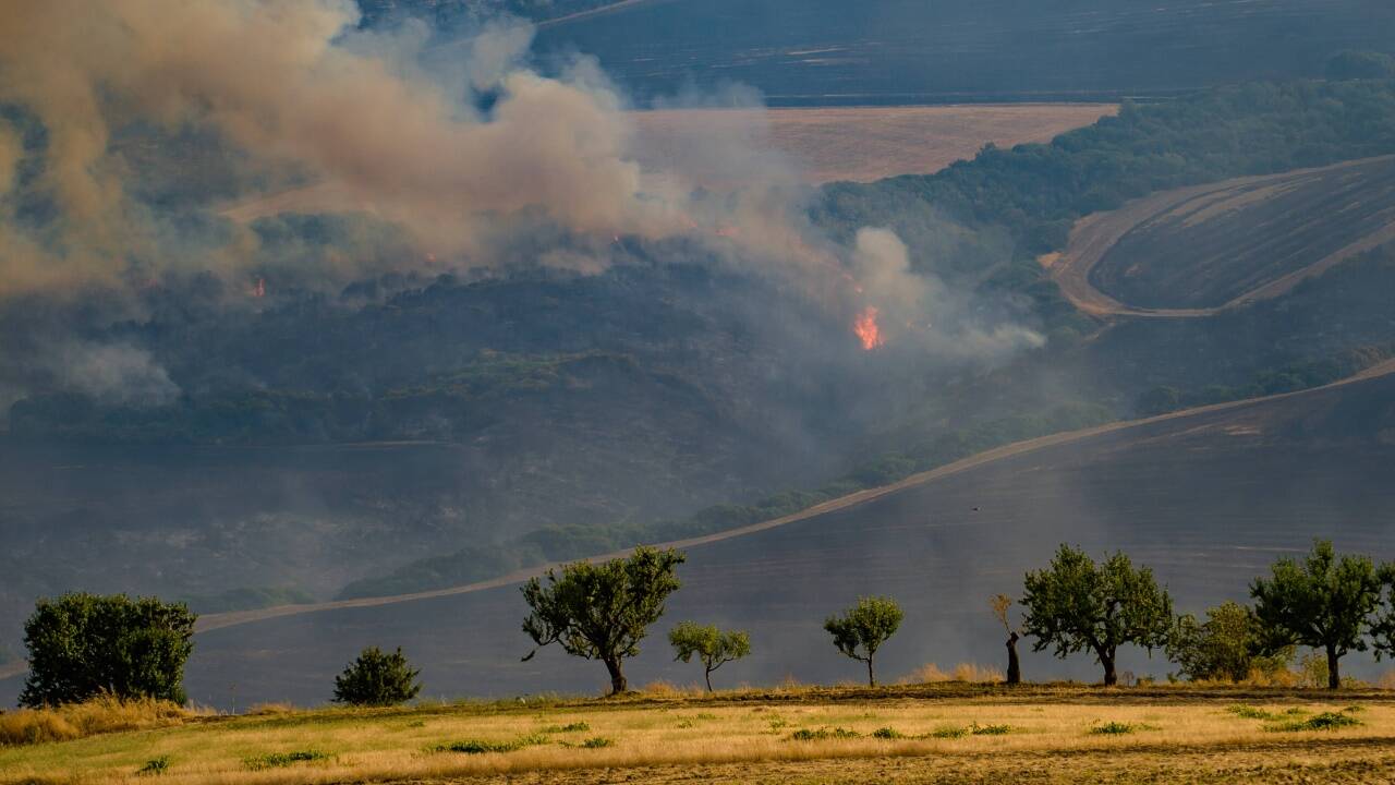 Temperaturen über 40 Grad, extreme Trockenheit und starker Wind spielen den Brandstiftern in die Hände. Temperaturen über 40 Grad, extreme Trockenheit und starker Wind spielen den Brandstiftern in die Hände.