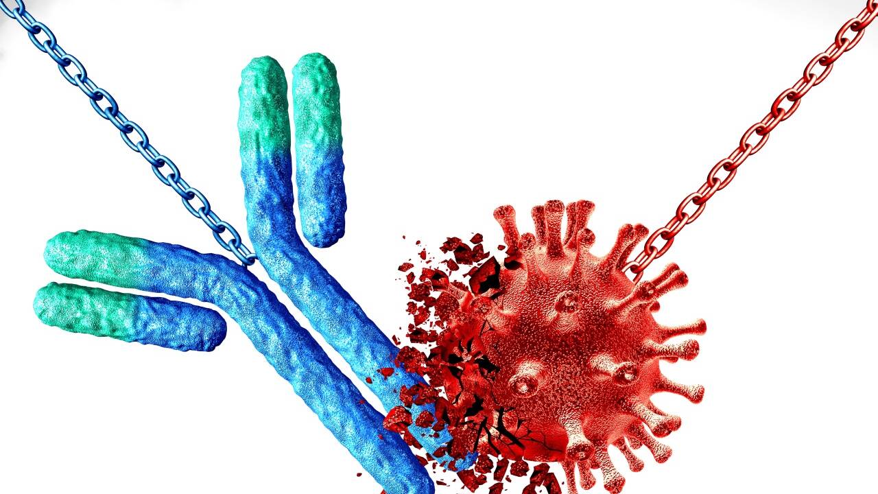 Der Immunschutz des Körpers ist komplex. Der Immunschutz des Körpers ist komplex.
