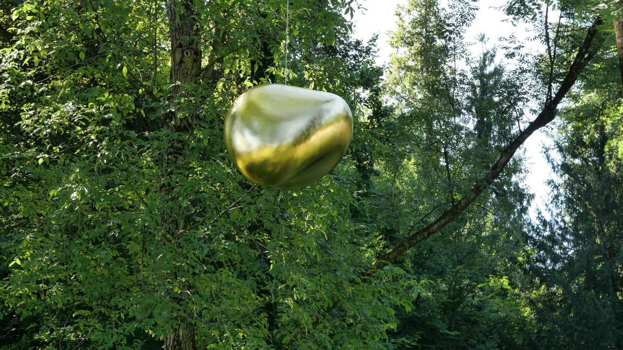 Blicke auf die Arbeit „don’t forget!“ von Tobias Ballaty im Park von Schloss Arenberg.  
