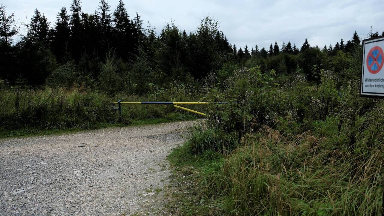 In diesem Waldstück wurde die Leiche gefunden. In diesem Waldstück wurde die Leiche gefunden.