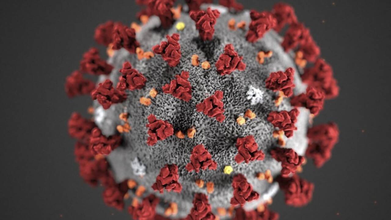 Andockstelle des Spikeproteins als 'Achillesferse' 