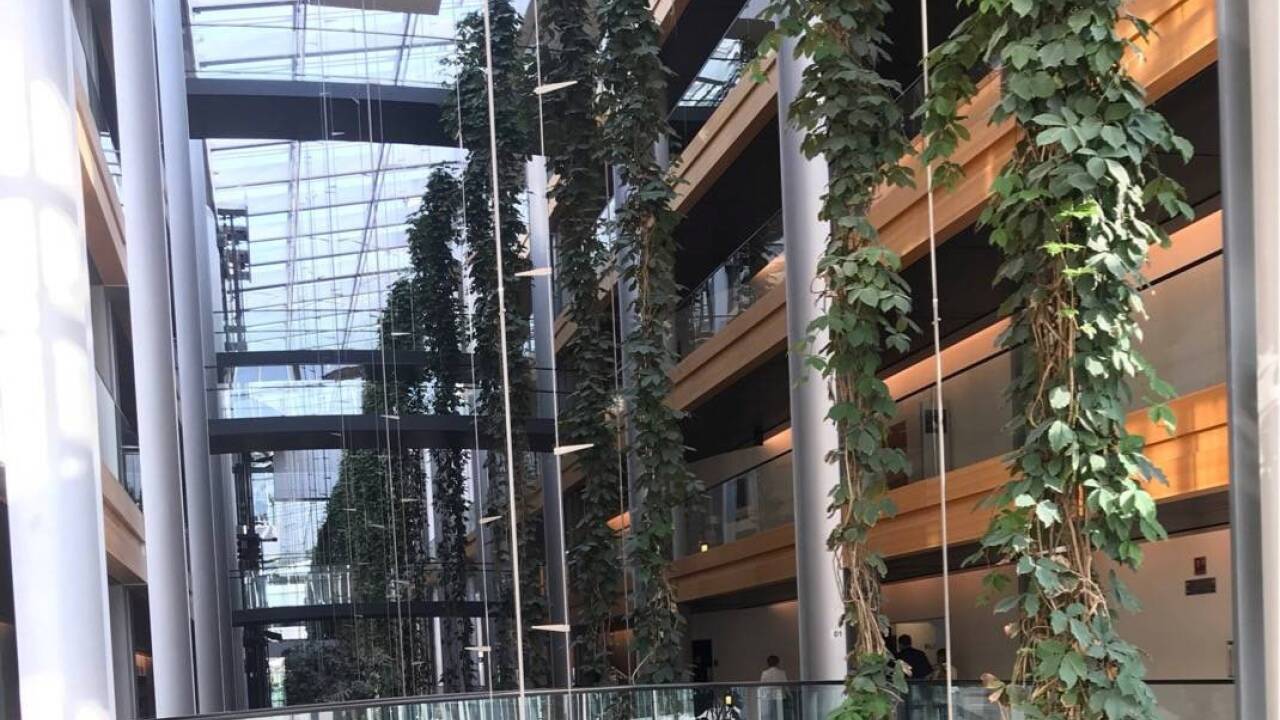 Endlose Gänge. Vertraut die Security darauf, dass man sich nicht zu nahe kommt, um sich anzustecken?  Endlose Gänge. Vertraut die Security darauf, dass man sich nicht zu nahe kommt, um sich anzustecken?