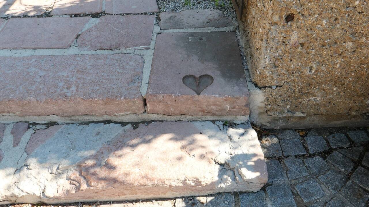 Ein herzerwärmender Anblick.  