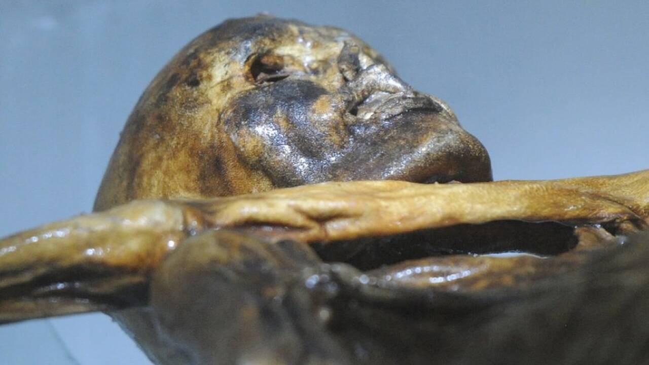 'Ötzi'-Fund jährt sich zum 30. Mal 