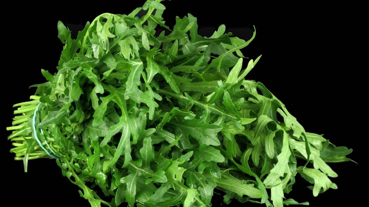 Rucola: Die Würze für Salate oder auf einer Pizza ist nussig scharf.  