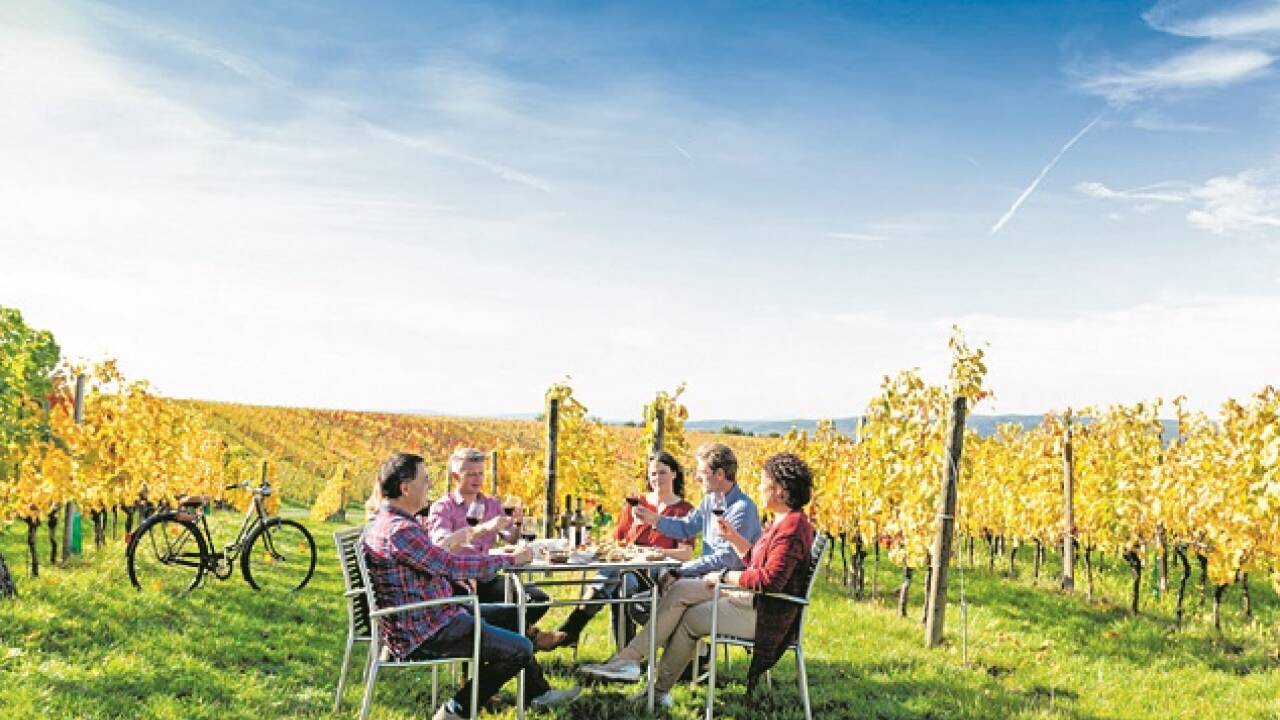 Das Ensemble „Da Blechhaufn“ und die Festival-Gastgeber am Klavier: Eduard und Johannes Kutrowatz. Das Ensemble „Da Blechhaufn“ und die Festival-Gastgeber am Klavier: Eduard und Johannes Kutrowatz.