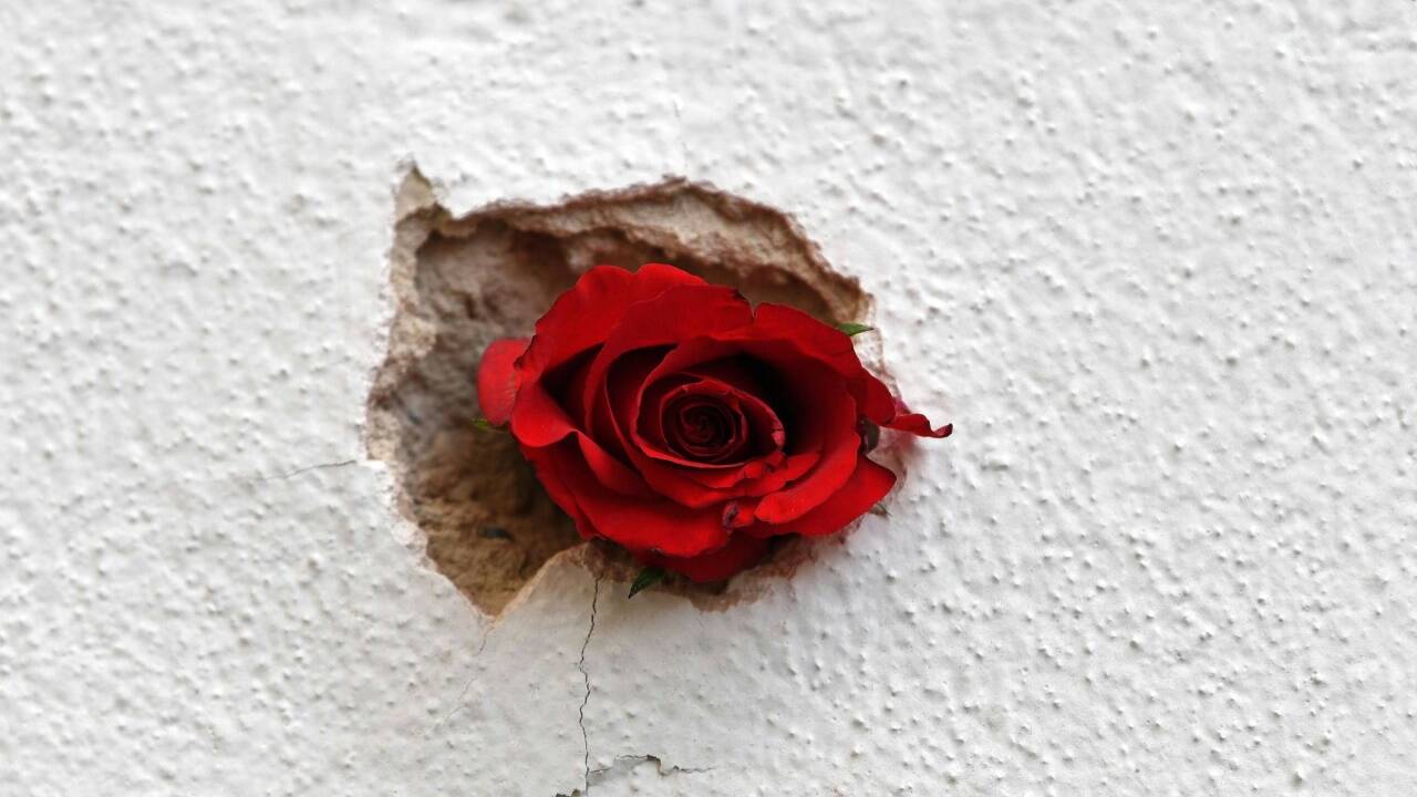 Eine Rose in einem Einschussloch im Bereich des Tatorts in der Seitenstettengasse in der Wiener Innenstadt am Donnerstag, 5. November 2020.  