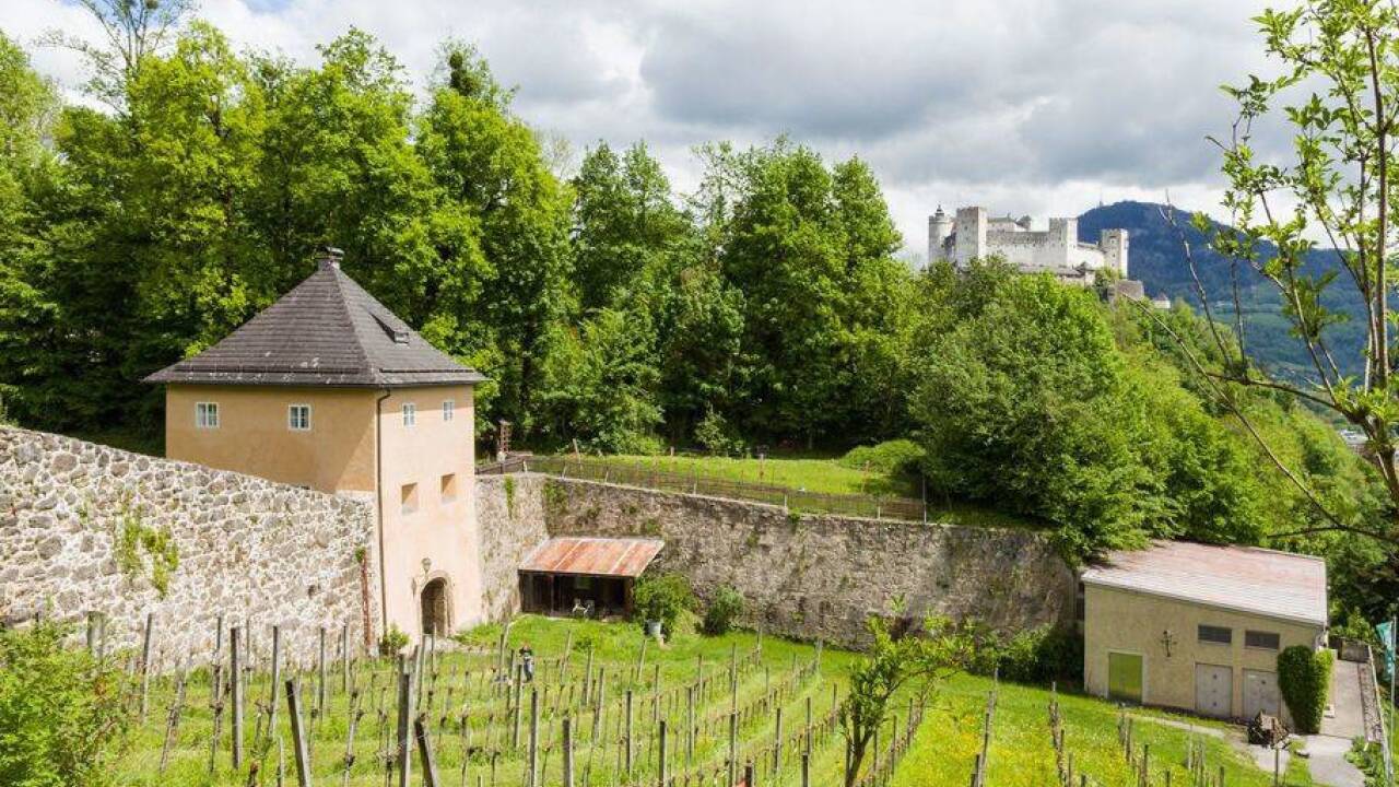 Dem Weinbau in Salzburg widmen die Pfadfinder ein heuer eröffnetes Museum im Paris-Lodron-Zwinger, Mönchsberg 16.  