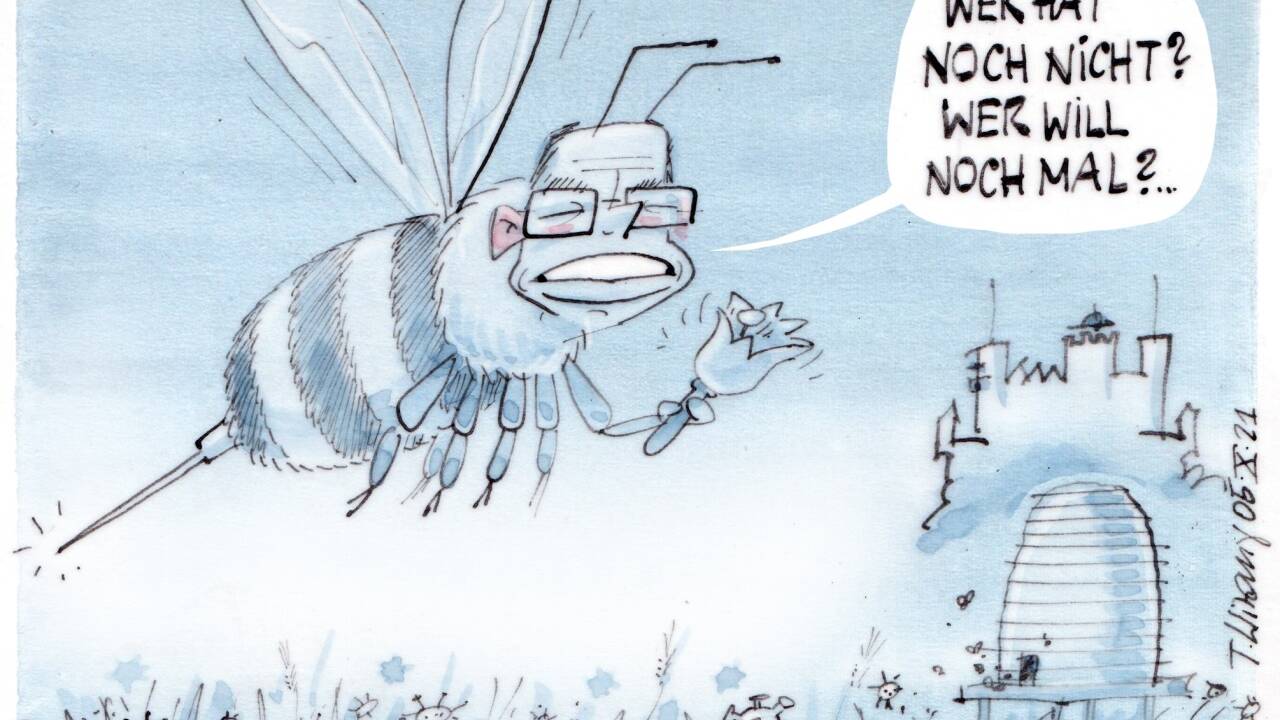 Die Stichfragen ... 