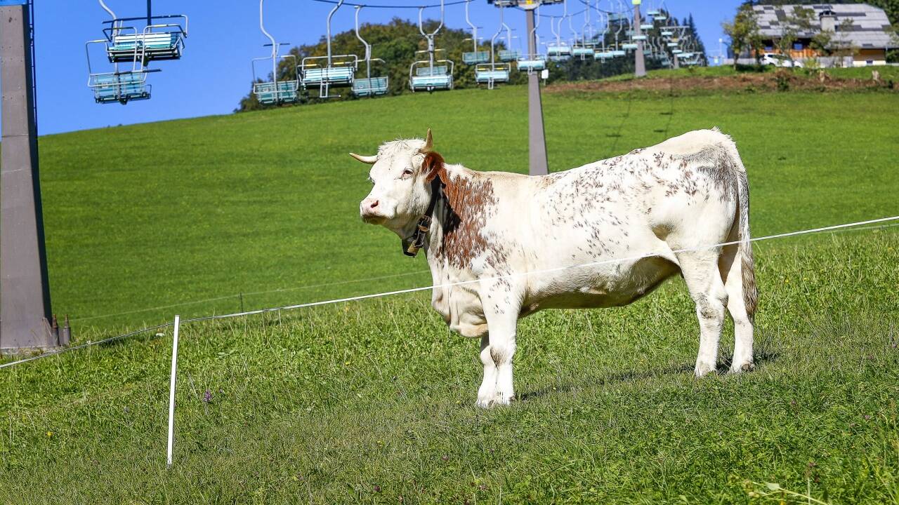 Der ein halbes Jahrhundert alte Sessellift in Gaißau soll durch eine Gondelbahn ersetzt werden. Die Zustimmung von Landwirten ist notwendig.  
