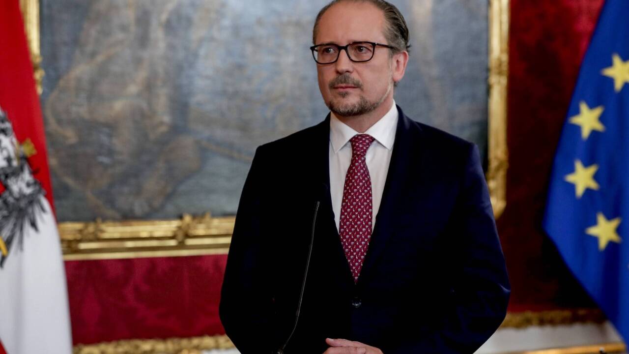 Neo-Bundeskanzler Alexander Schallenberg bei der Angelobung am Montag.  