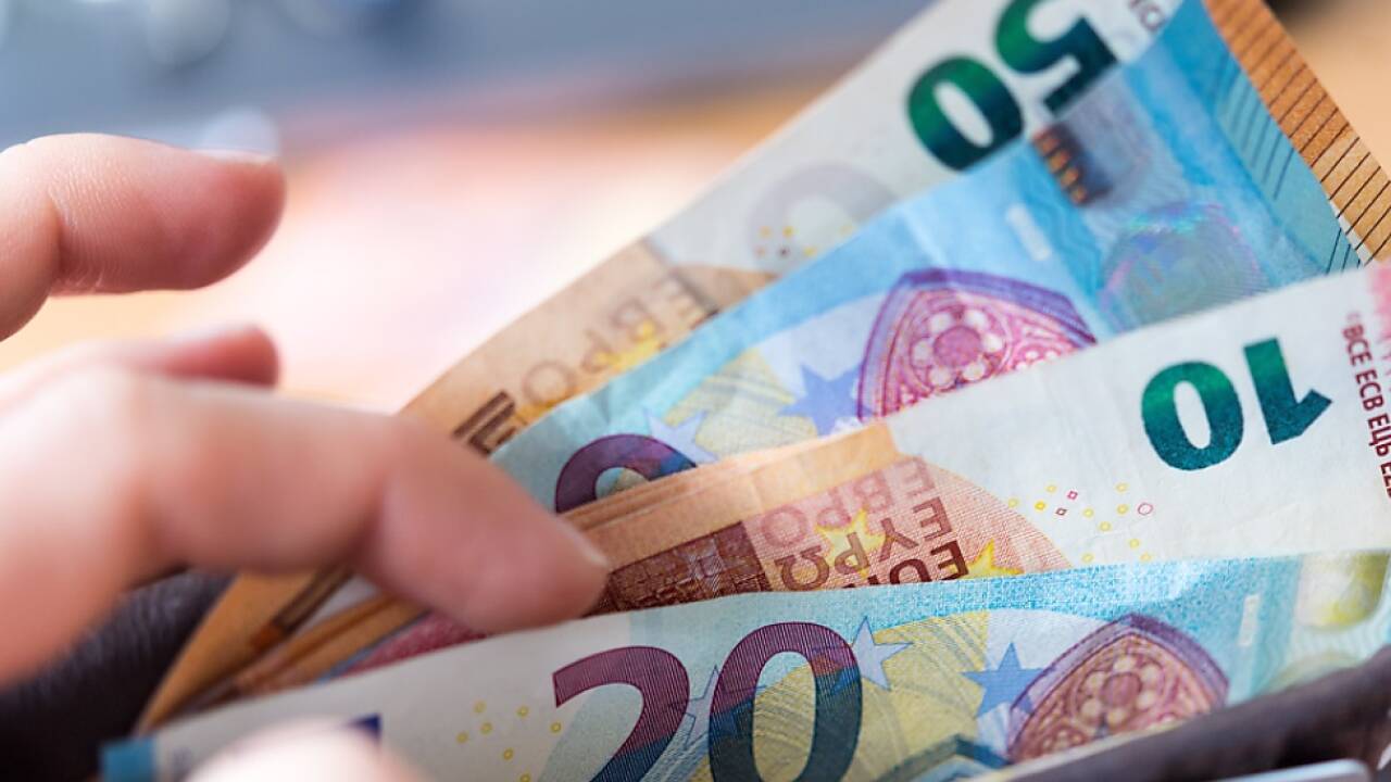 Greiner will belgische Firma kaufen 