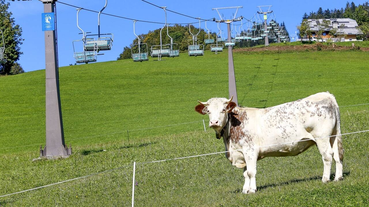 Der alte Sessellift soll durch eine Zehnergondelbahn ersetzt werden. 