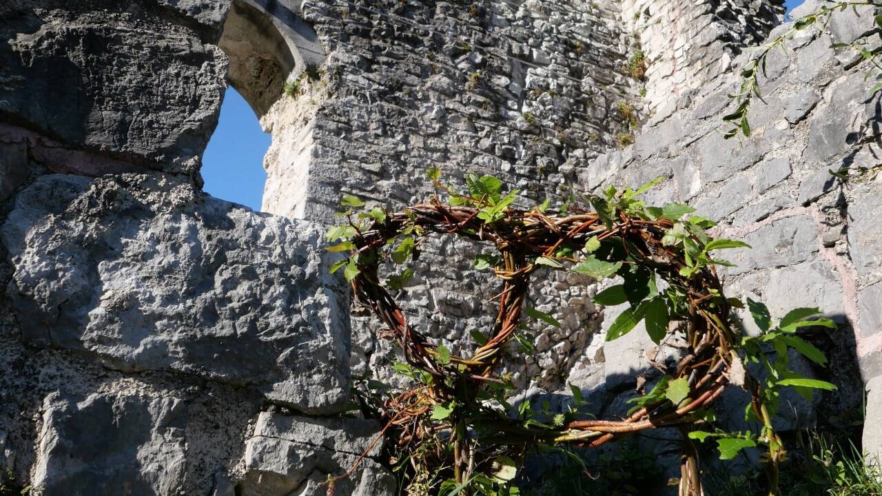 Ein Pflanzenzeichen vor altem Mauerwerk.  